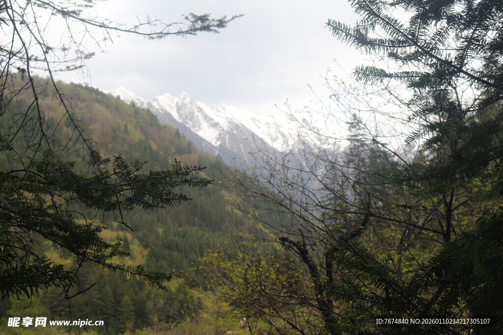 山林间的雪山景致