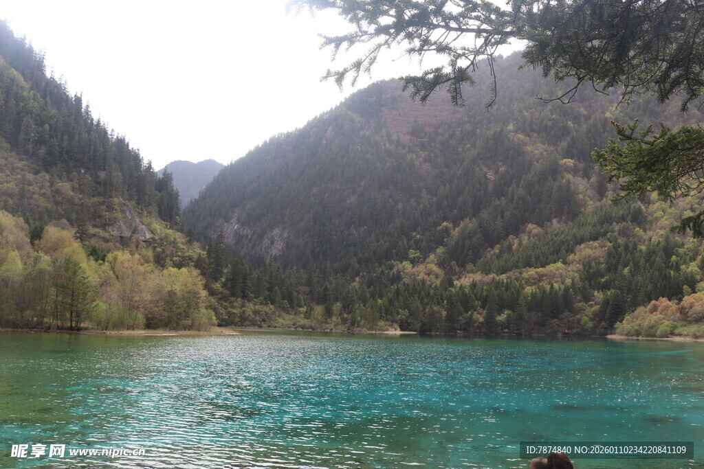 九寨沟绝美湖景风光