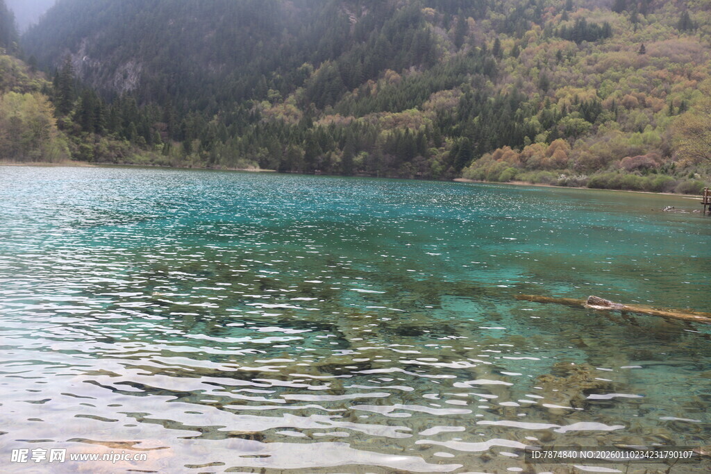 清澈蓝绿湖水的自然美景