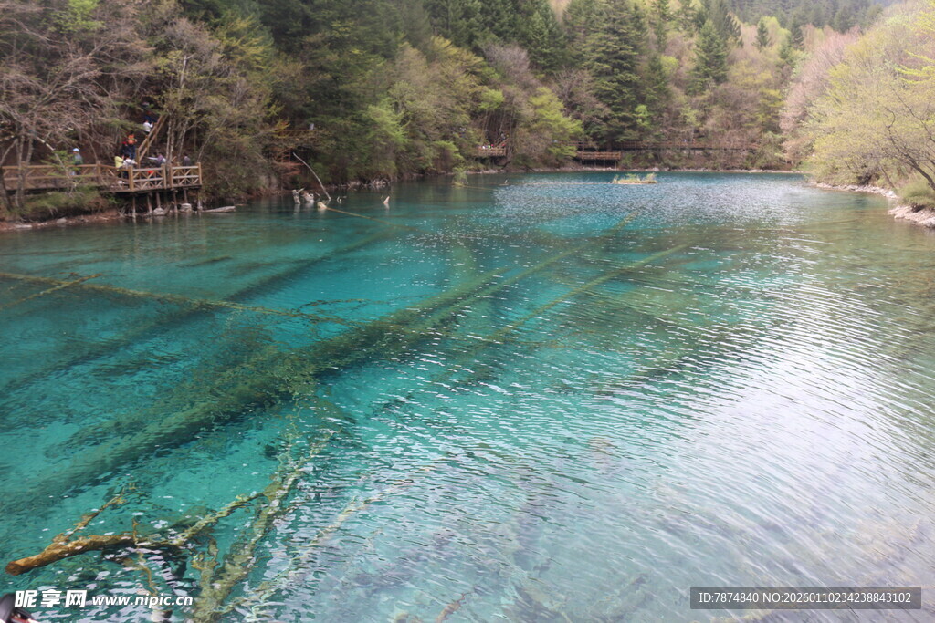 清澈蓝绿色的美丽自然水域