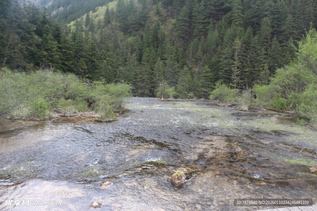 山间清澈溪流穿林而过
