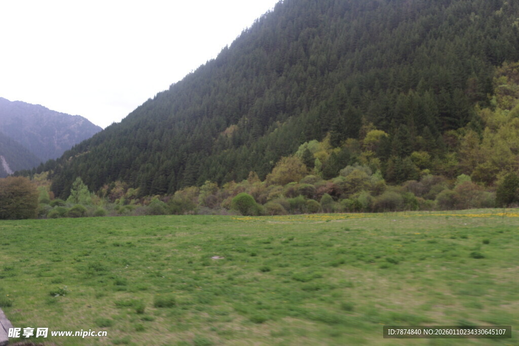山间绿野风光