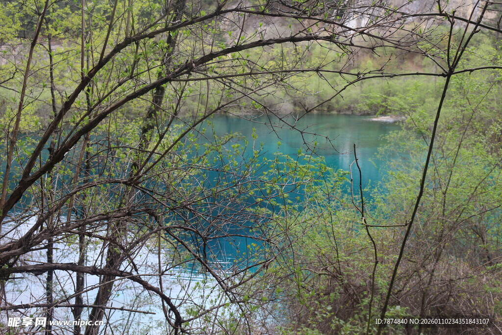 山间幽蓝湖水与繁茂草木