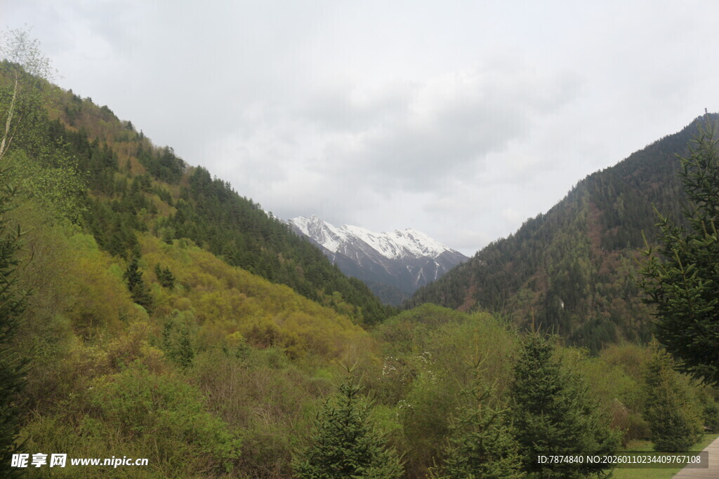 山间绿意盎然的秀丽景色