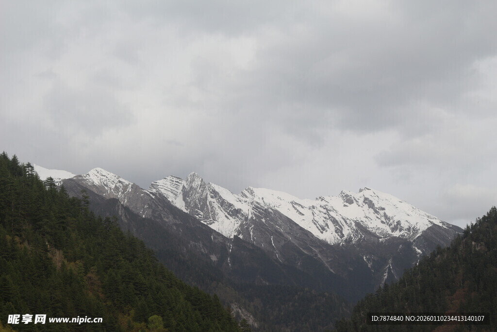 雪山下的葱郁山林