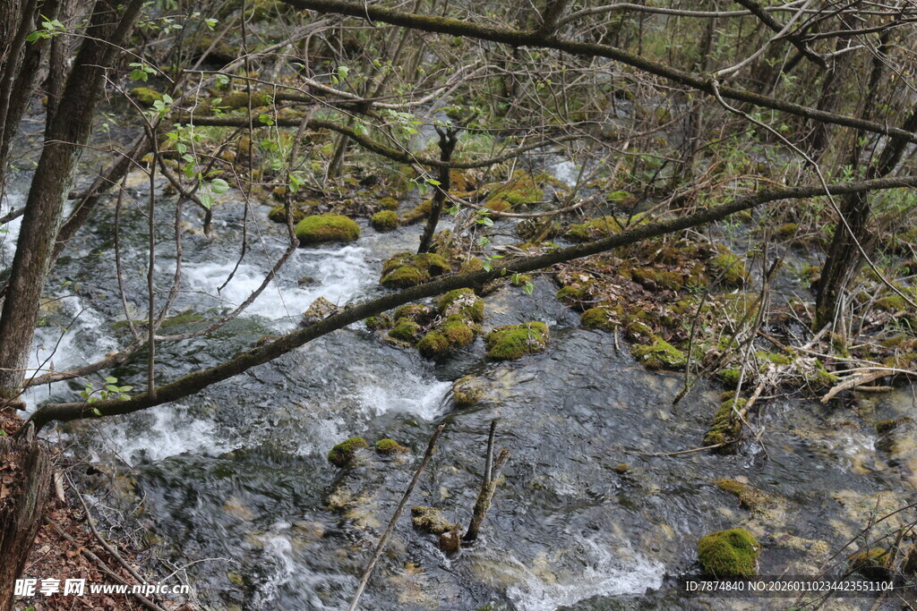 山间溪流与苔藓景致