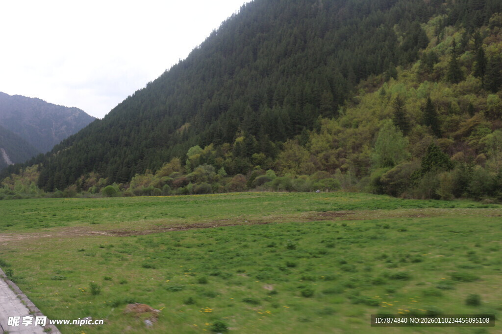 山间绿野风光