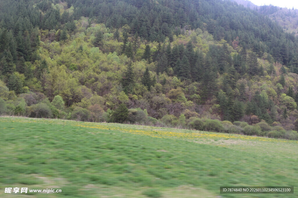 绿野山林间的自然景致