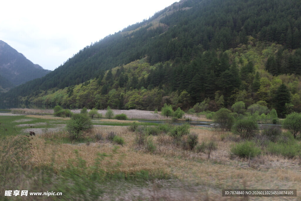 山间开阔草地与葱郁山林