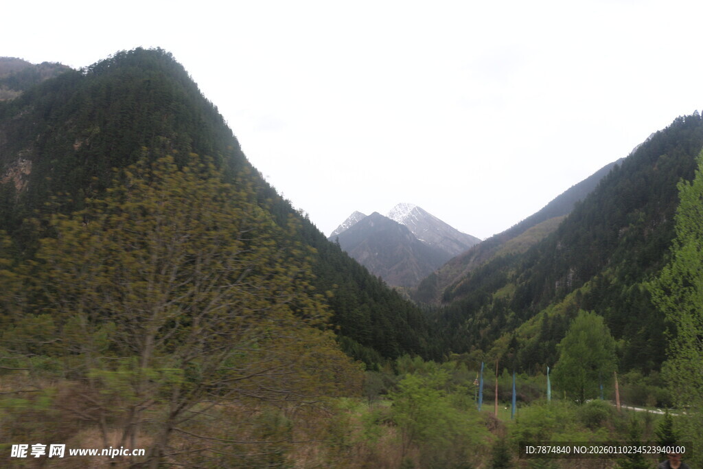 山间美景 绿意盎然的山谷