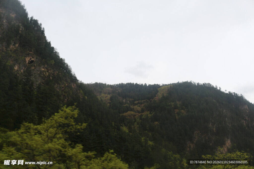 青山绿树的山间景致