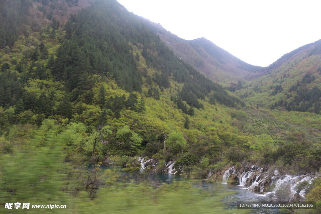 山间溪流穿林而过