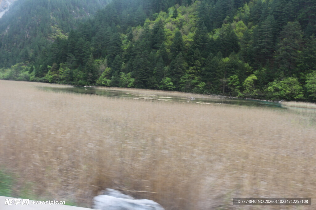 山间广袤金黄草地景观