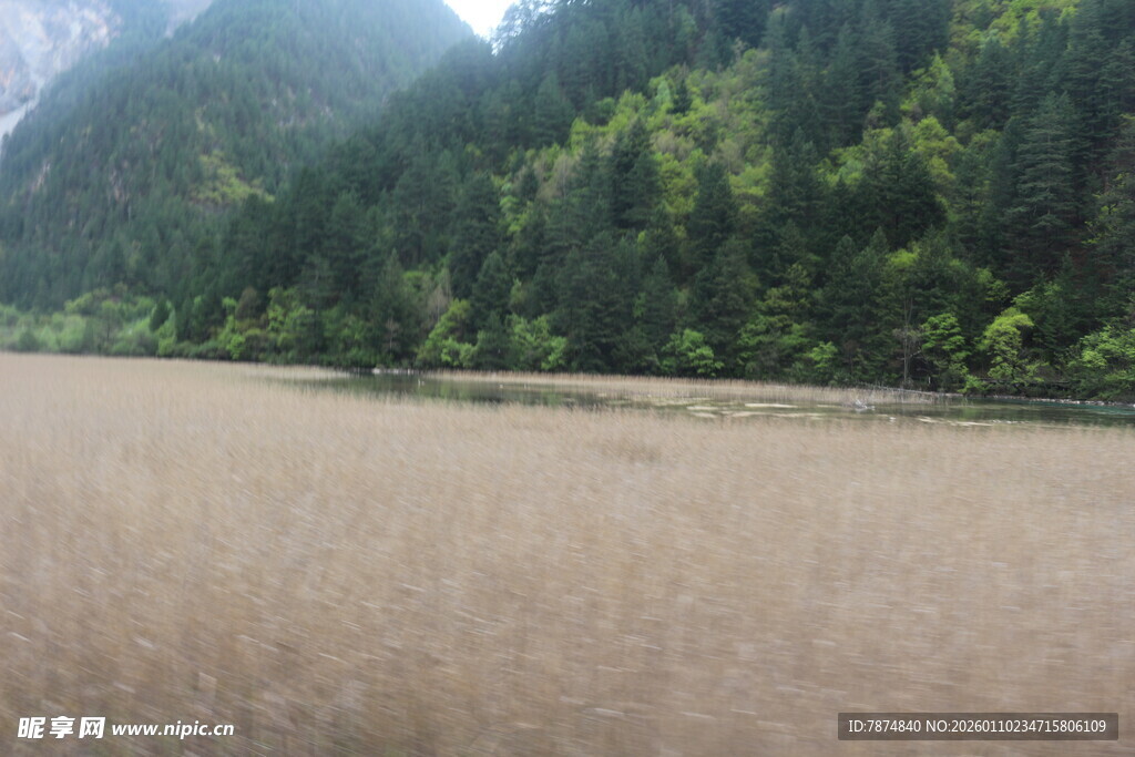 山间开阔草地景色