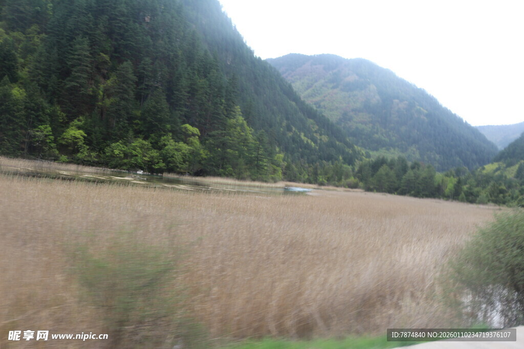 山间开阔草地风景