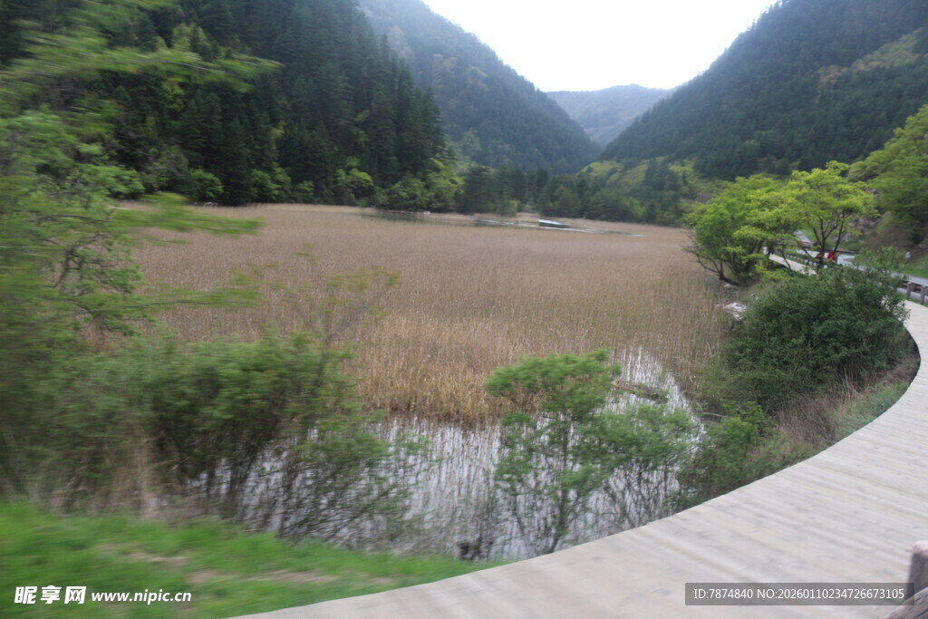 山间步道旁的自然景致