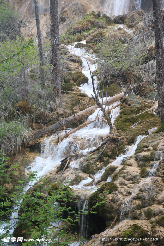 山间溪流潺潺 绿意盎然
