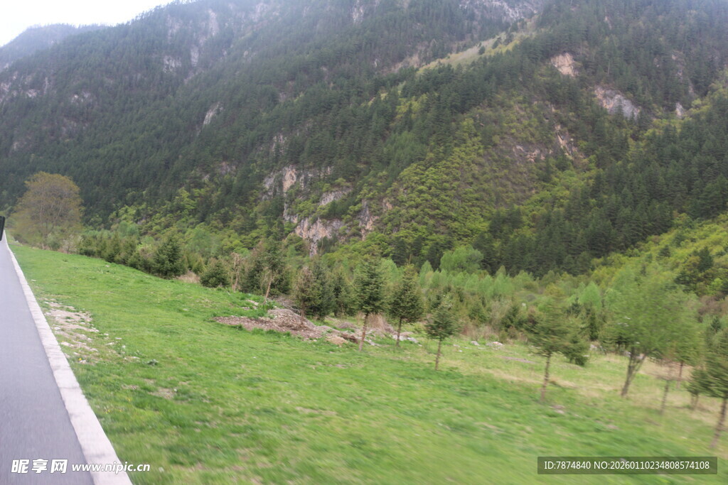 山间公路旁的翠绿景致