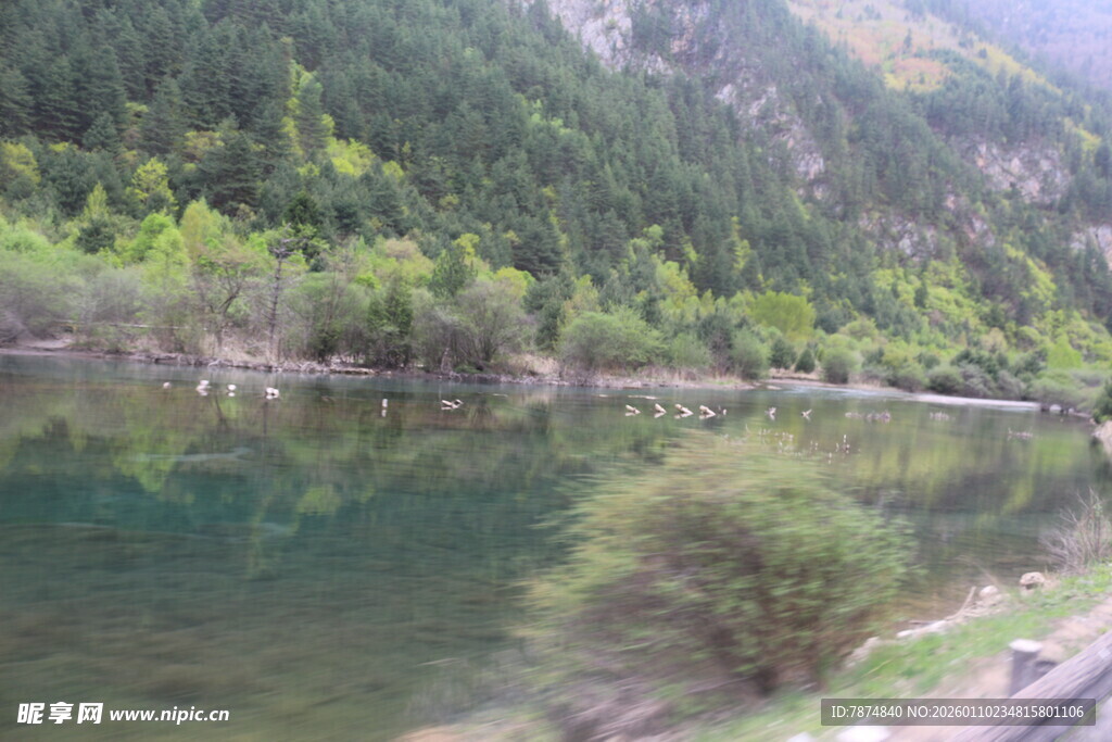 山间清澈河流与葱郁树林