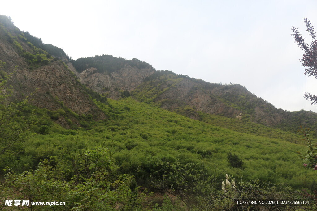 绿意盎然的山间景色