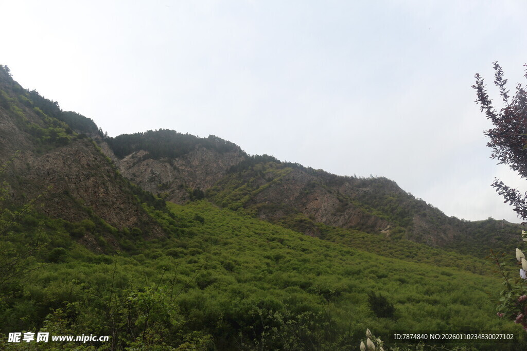 青山绿意盎然的自然景致