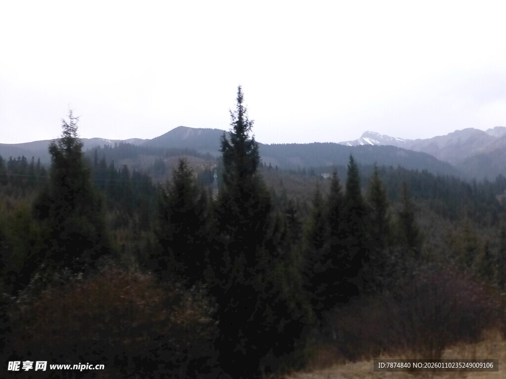 山林景致 远处山峦隐约