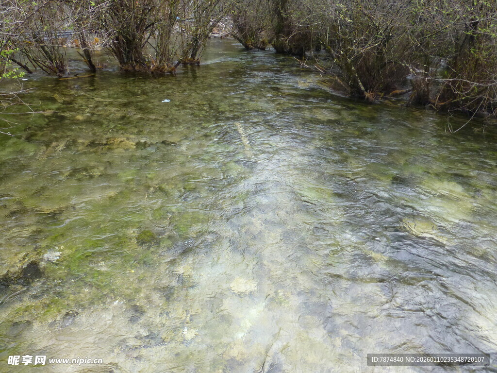 山间清澈溪流潺潺流淌