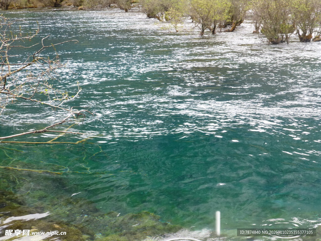 清澈溪流 展现自然之美