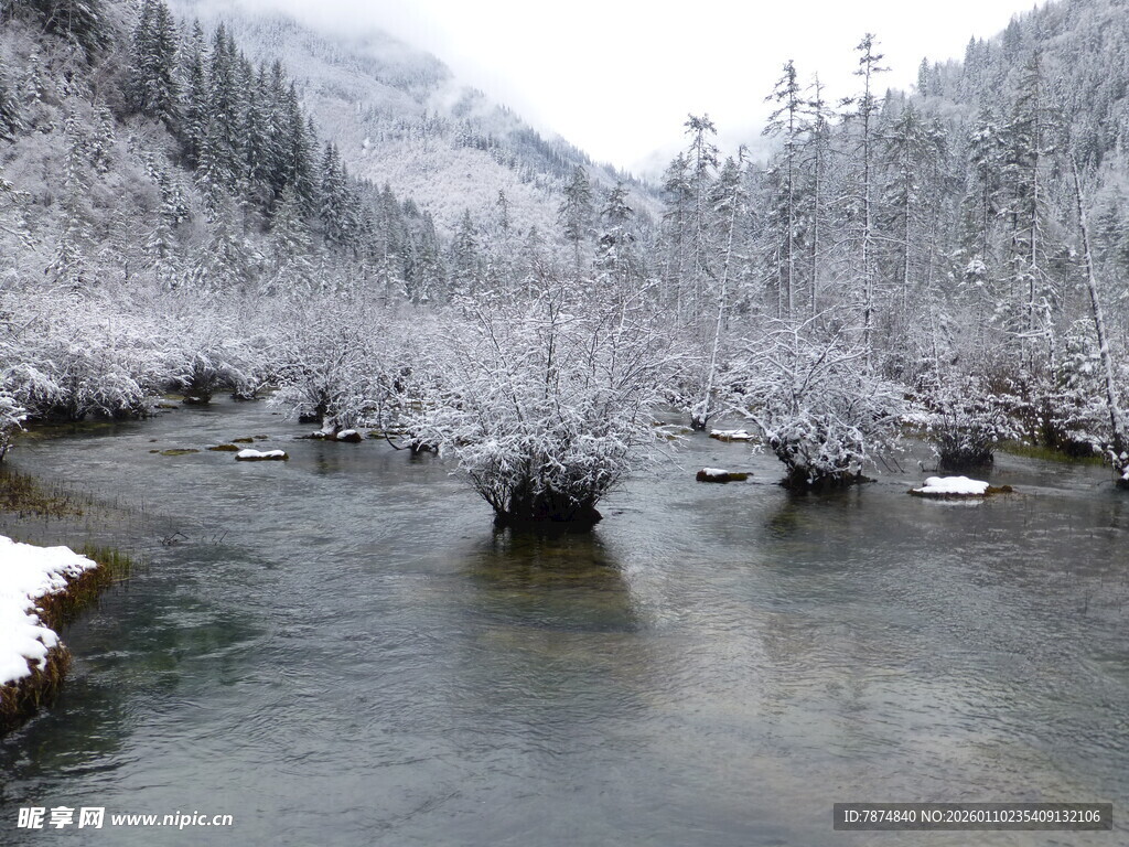 冬日雪覆溪边树木美景