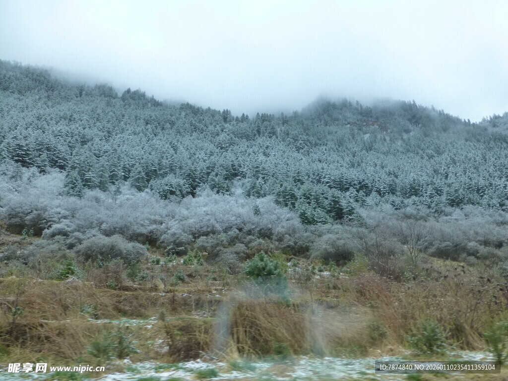 雪覆山林景观
