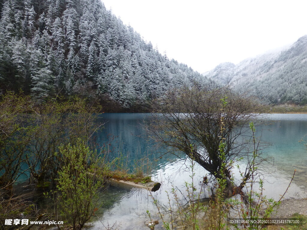 雪覆山林中的静谧湖泊