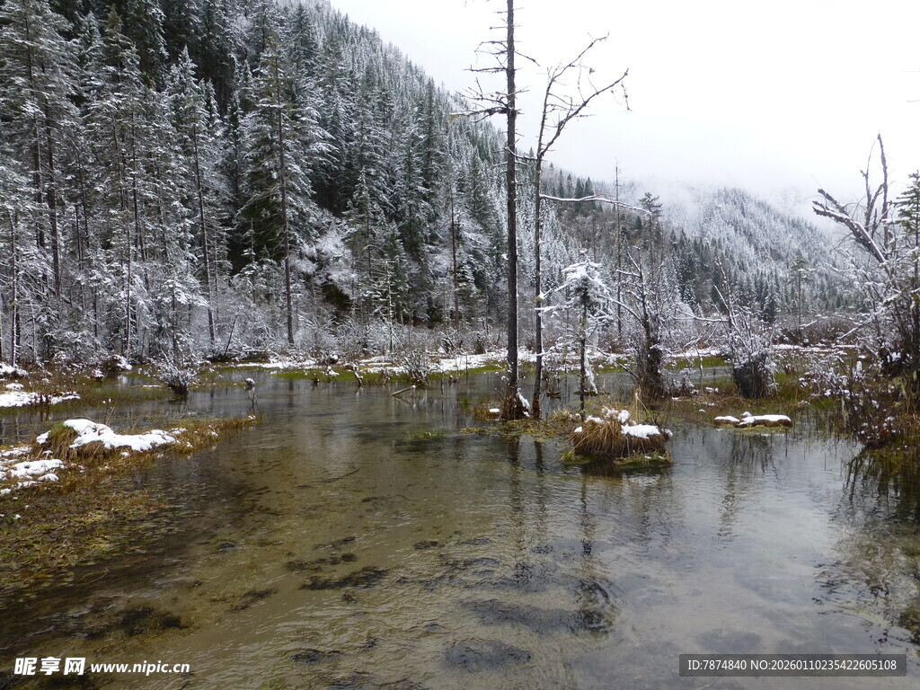 冬日雪景中的静谧溪流