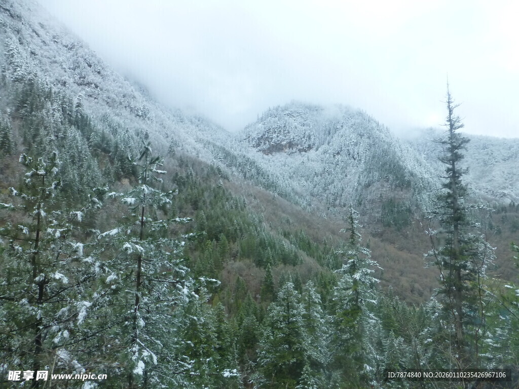 雪覆山林的静谧自然景观