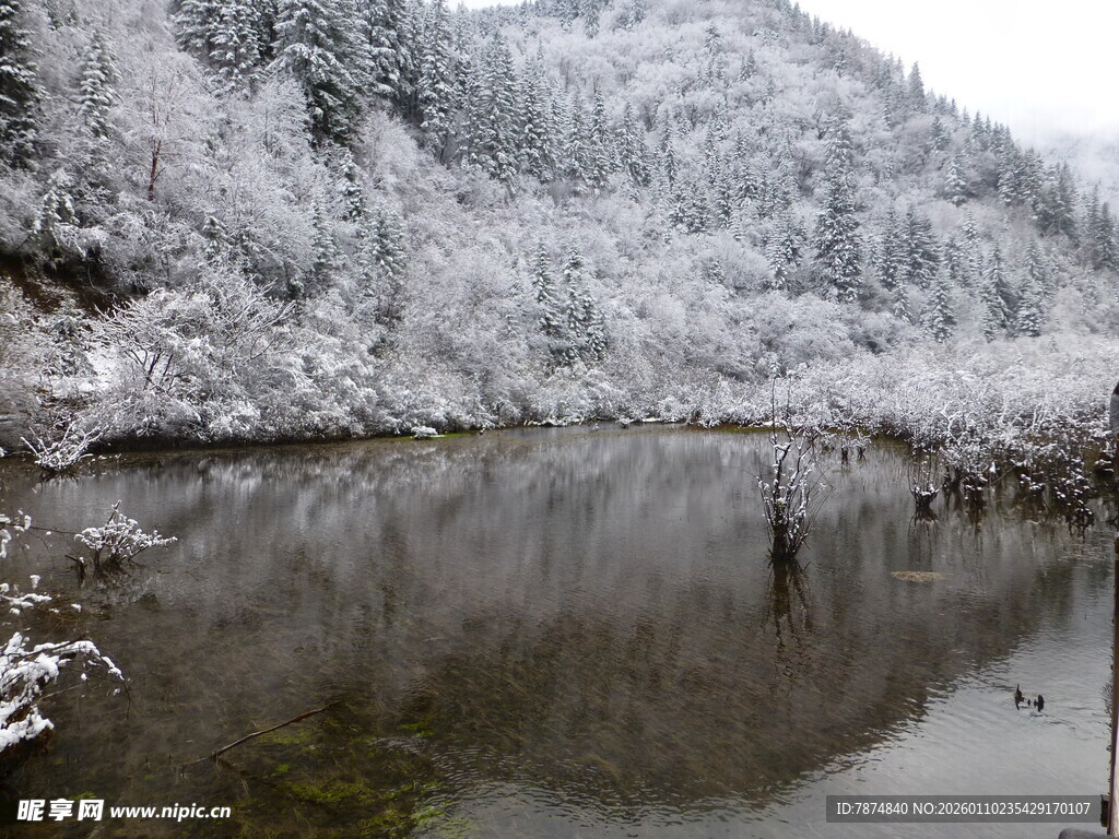 雪覆山林间的静谧湖泊