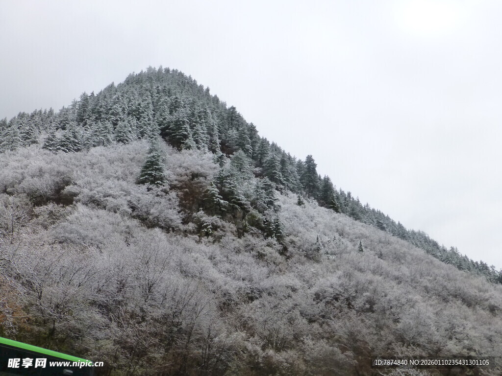 雪覆山峦美景