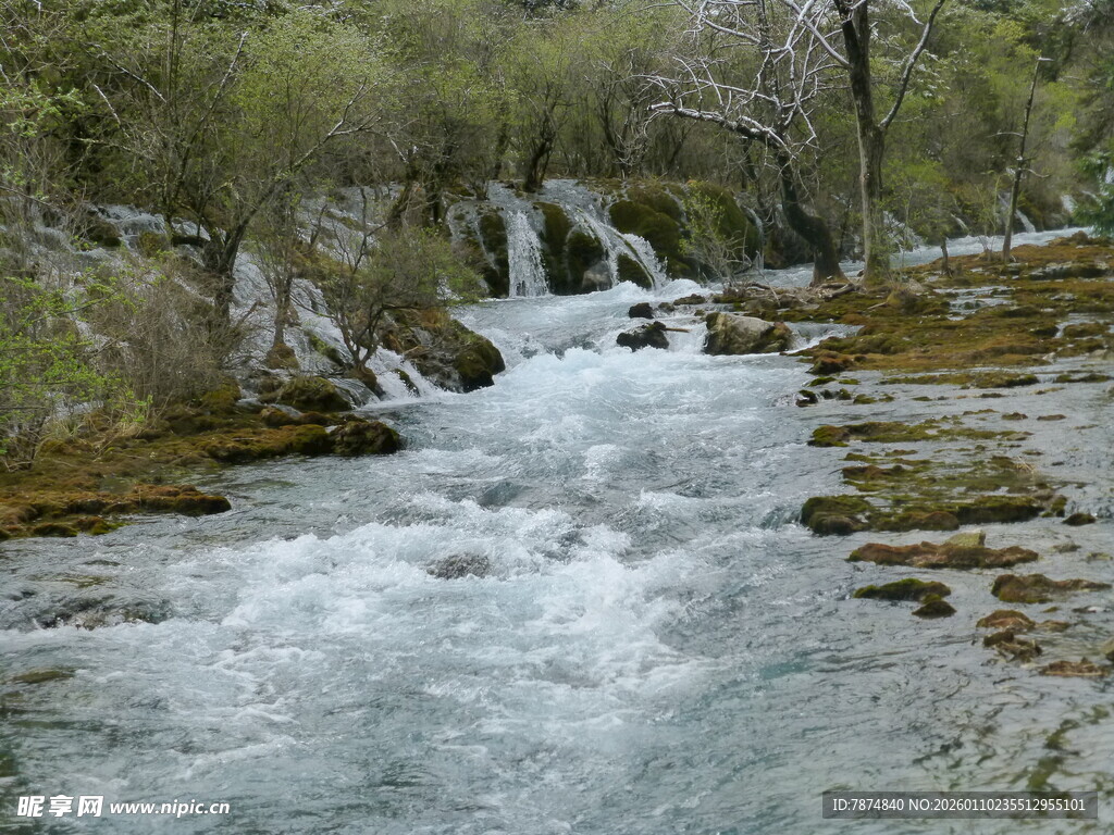 山间溪流潺潺流淌