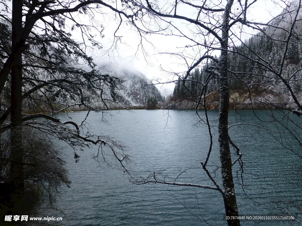 宁静湖畔冬日景致