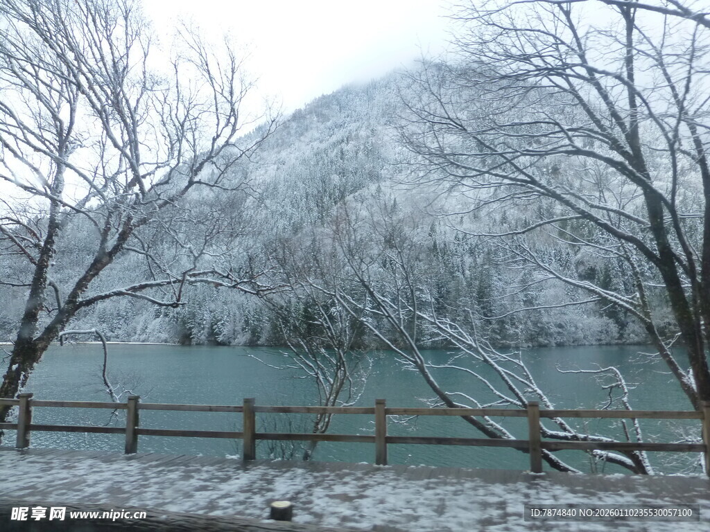 冬日湖畔雪景
