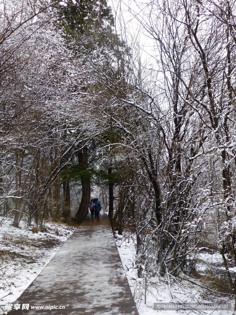 雪后林间小道 行人漫步