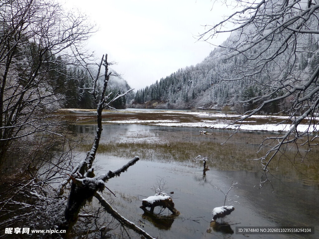 冬日雪覆河畔景致