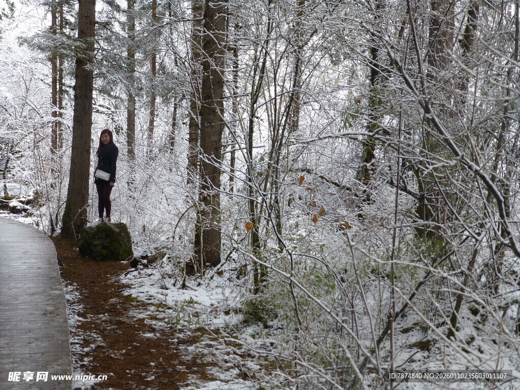 雪后林间漫步人