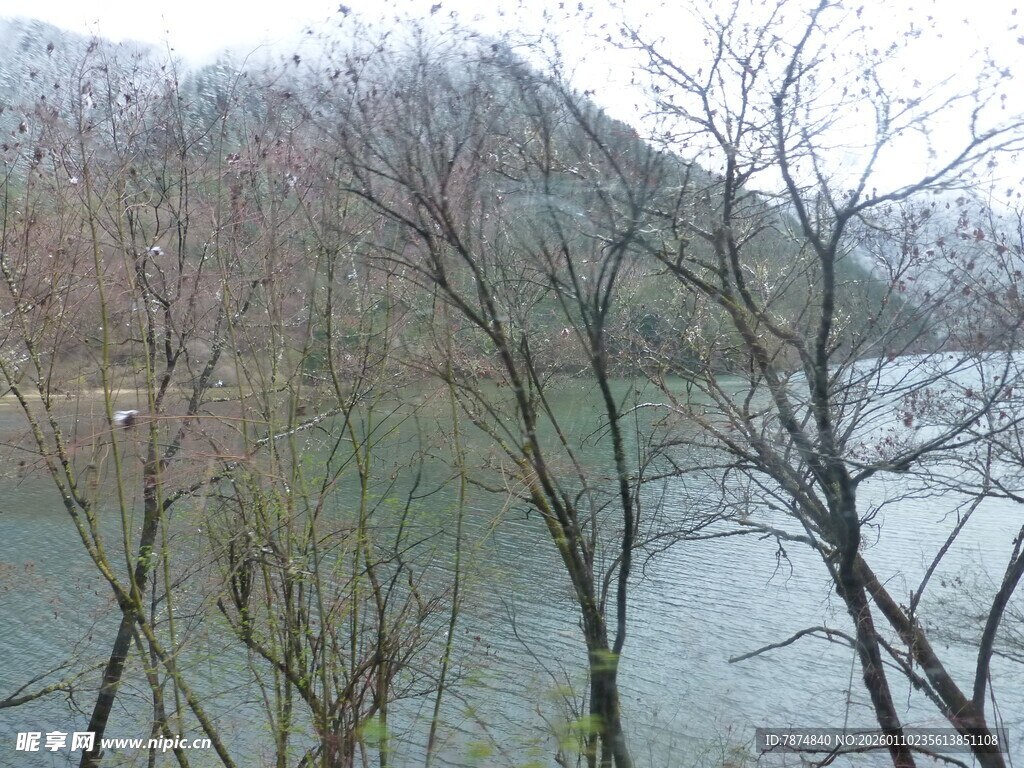 湖畔枯树与朦胧远山