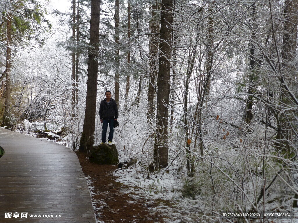 雪后林间漫步的孤独身影