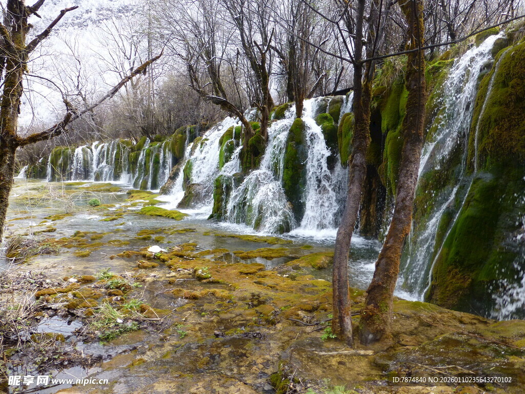 冬日林间瀑布景观