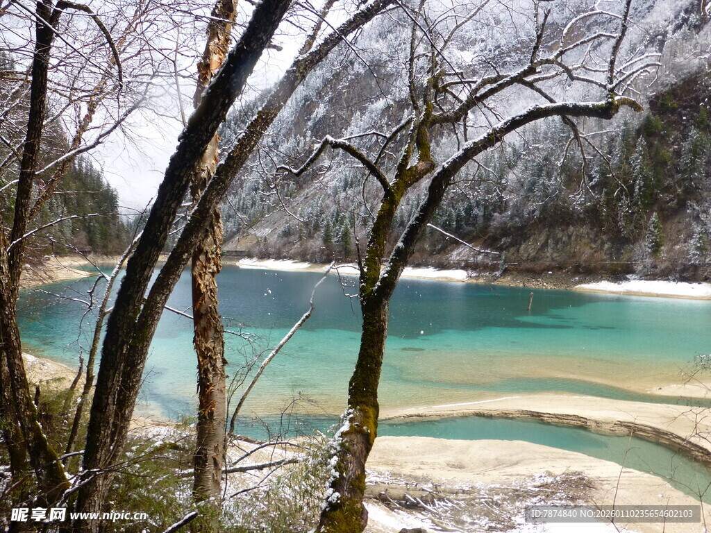 冬日雪覆湖畔美景