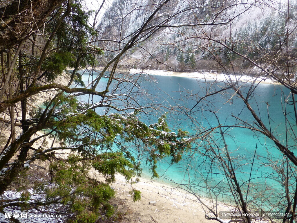 蓝绿色湖水边的繁茂树林