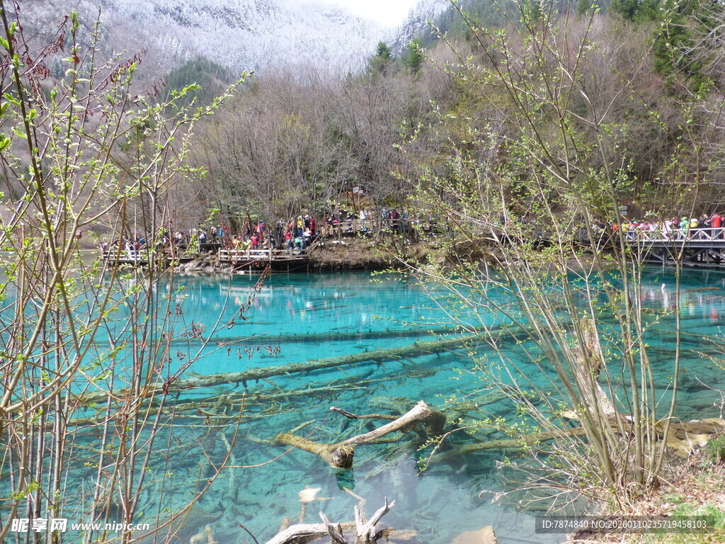 九寨沟的清澈蓝绿色湖水