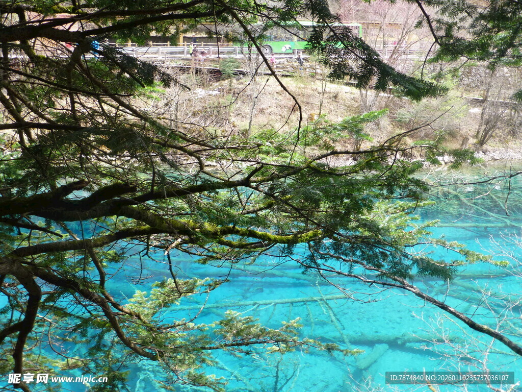 蓝绿色湖水与林间美景
