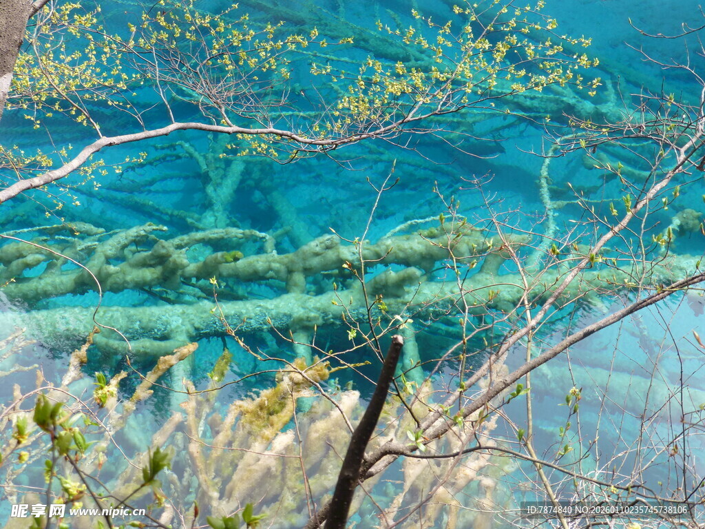 清澈湖水与水下景致
