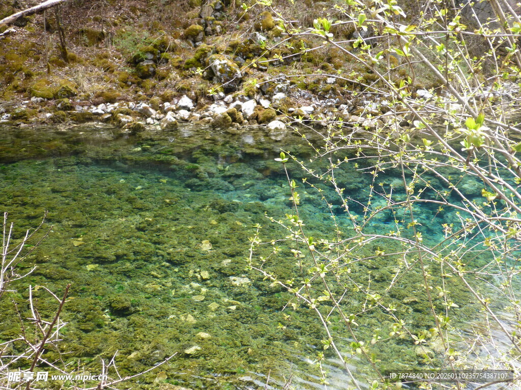 清澈见底的山间碧绿溪流